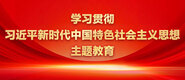 啊啊啊小骚逼好想要视频学习贯彻习近平新时代中国特色社会主义思想主题教育_fororder_ad-371X160(2)